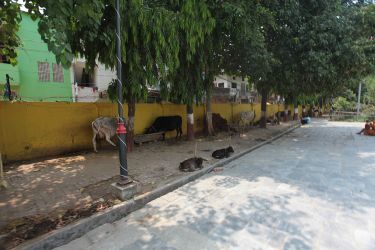 In Janakpur Shree Ram Janaki Biwaha Mandap