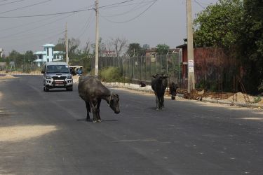 Janakpurdham Airport