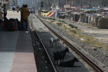 In Janakpurdham Railway Station